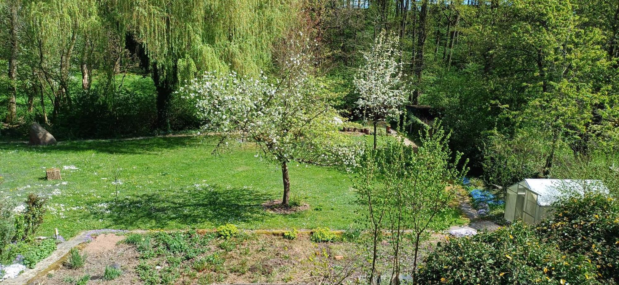 In Medlitz Rattelsdorf